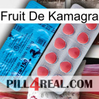 Kamagra Fruit new14